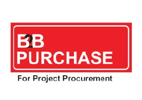 B2B Purchase: